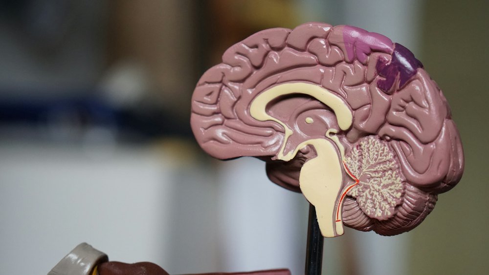 Neurology Billing Services